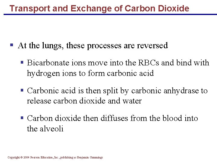 Transport and Exchange of Carbon Dioxide § At the lungs, these processes are reversed