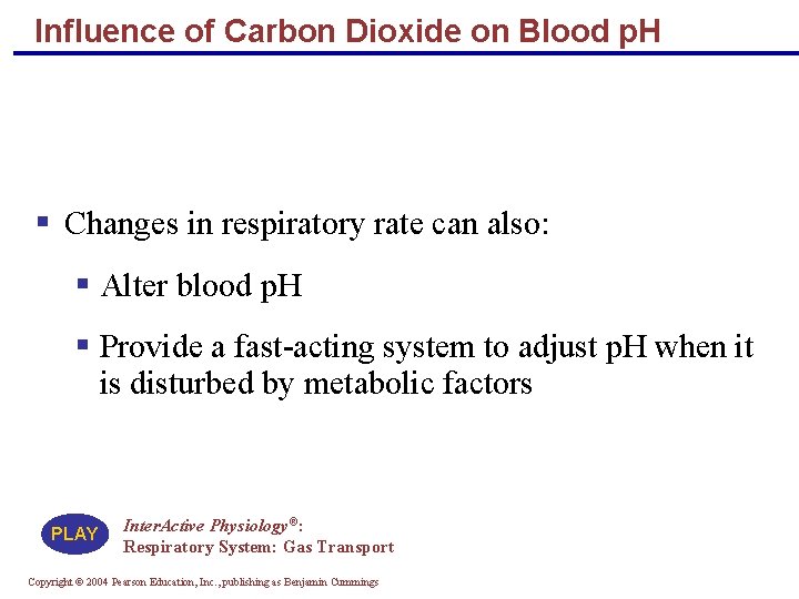 Influence of Carbon Dioxide on Blood p. H § Changes in respiratory rate can