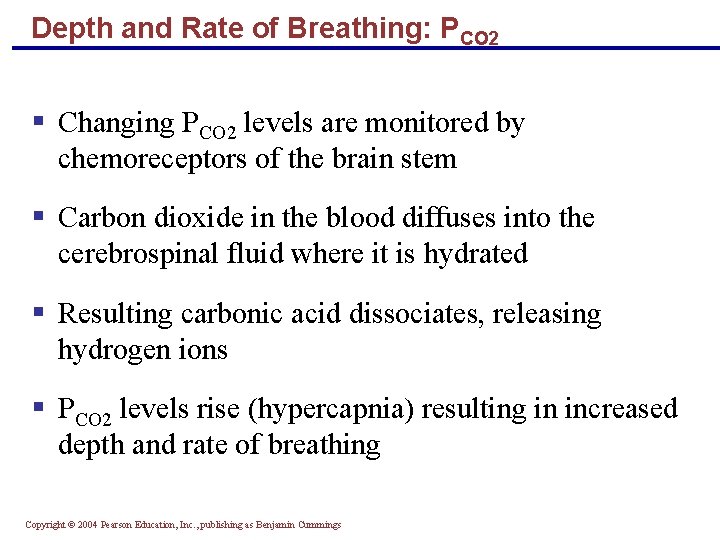 Depth and Rate of Breathing: PCO 2 § Changing PCO 2 levels are monitored