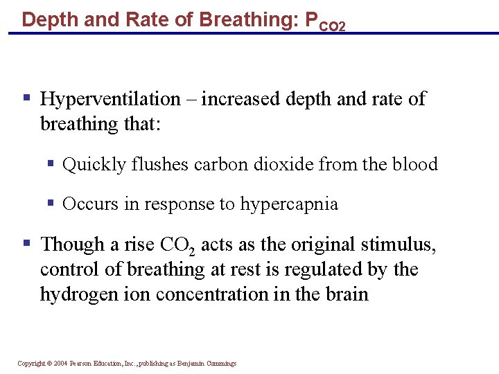 Depth and Rate of Breathing: PCO 2 § Hyperventilation – increased depth and rate