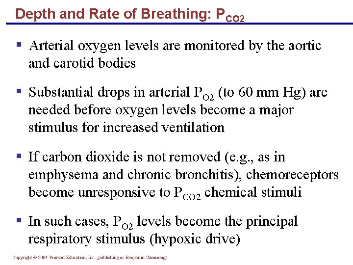 Depth and Rate of Breathing: PCO 2 § Arterial oxygen levels are monitored by