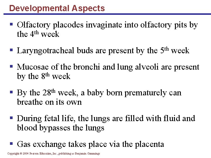 Developmental Aspects § Olfactory placodes invaginate into olfactory pits by the 4 th week