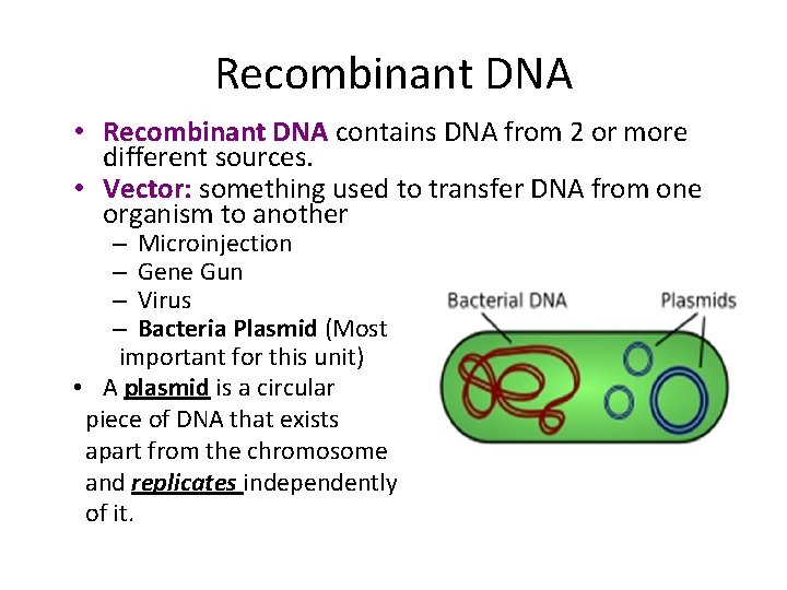 Recombinant DNA • Recombinant DNA contains DNA from 2 or more different sources. •