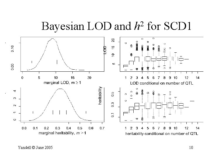 Bayesian LOD and h 2 for SCD 1 Yandell © June 2005 10 