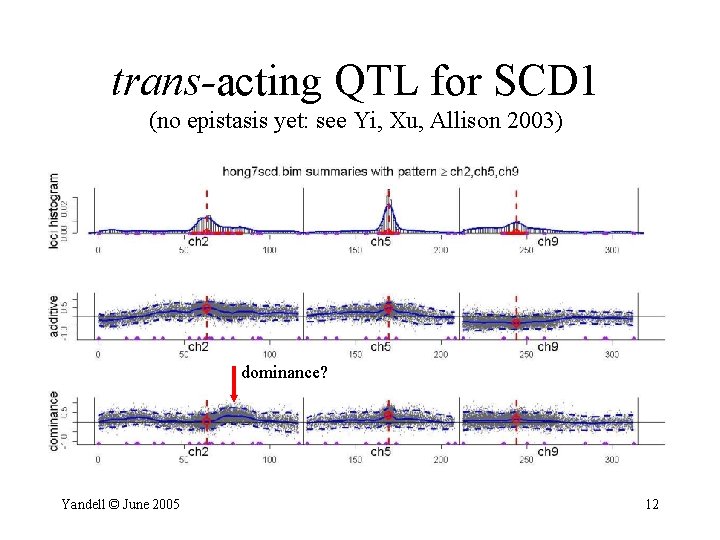 trans-acting QTL for SCD 1 (no epistasis yet: see Yi, Xu, Allison 2003) dominance?