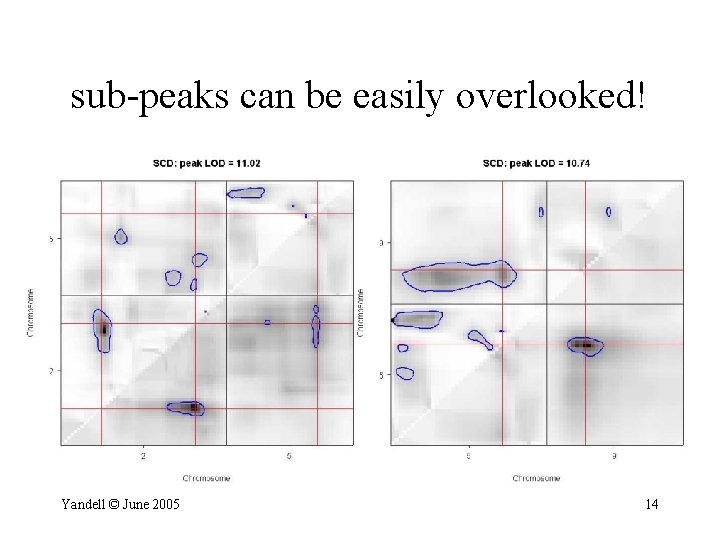 sub-peaks can be easily overlooked! Yandell © June 2005 14 