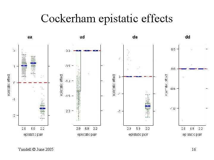 Cockerham epistatic effects Yandell © June 2005 16 
