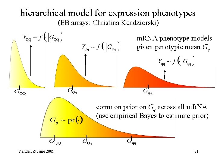 hierarchical model for expression phenotypes (EB arrays: Christina Kendziorski) m. RNA phenotype models given