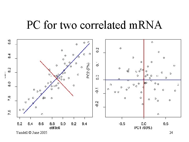 PC for two correlated m. RNA Yandell © June 2005 24 