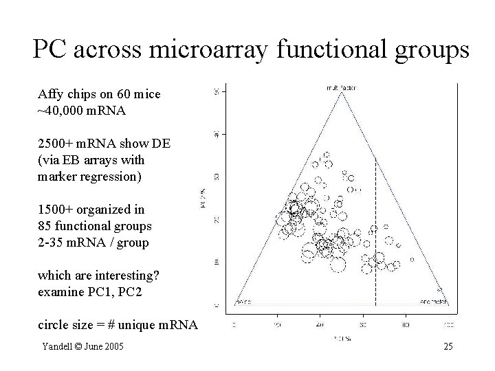 PC across microarray functional groups Affy chips on 60 mice ~40, 000 m. RNA