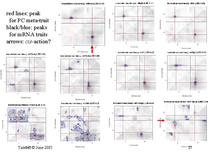 red lines: peak for PC meta-trait black/blue: peaks for m. RNA traits arrows: cis-action?
