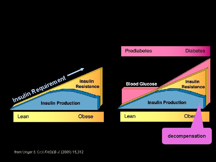 nt e irem in ul s n I qu e R decompensation Yandell June.