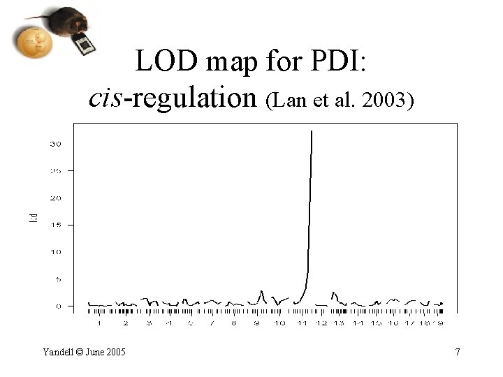 LOD map for PDI: cis-regulation (Lan et al. 2003) Yandell © June 2005 7