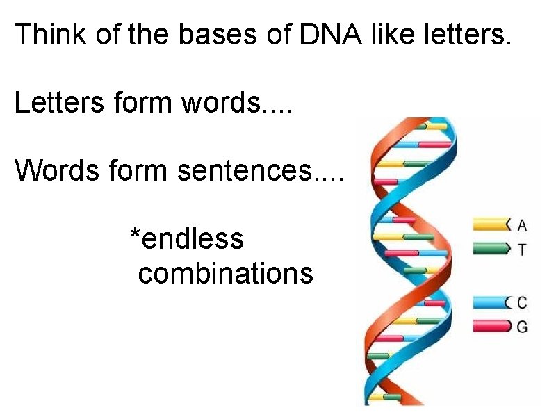 Think of the bases of DNA like letters. Letters form words. . Words form