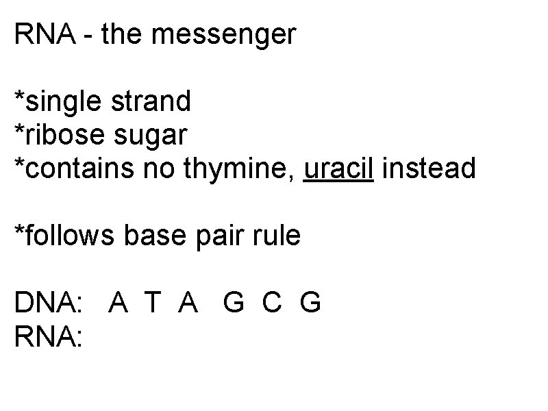 RNA - the messenger *single strand *ribose sugar *contains no thymine, uracil instead *follows