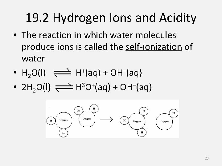 19. 2 Hydrogen Ions and Acidity • The reaction in which water molecules produce
