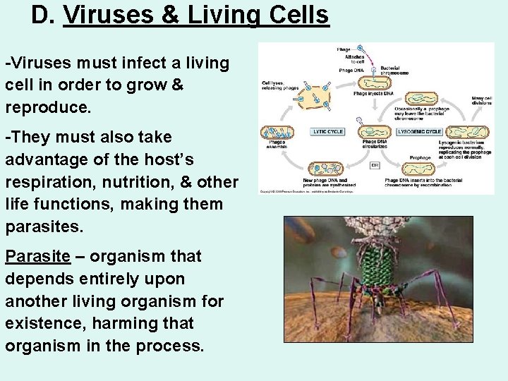 D. Viruses & Living Cells -Viruses must infect a living cell in order to