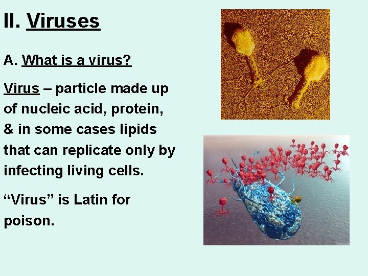 II. Viruses A. What is a virus? Virus – particle made up of nucleic