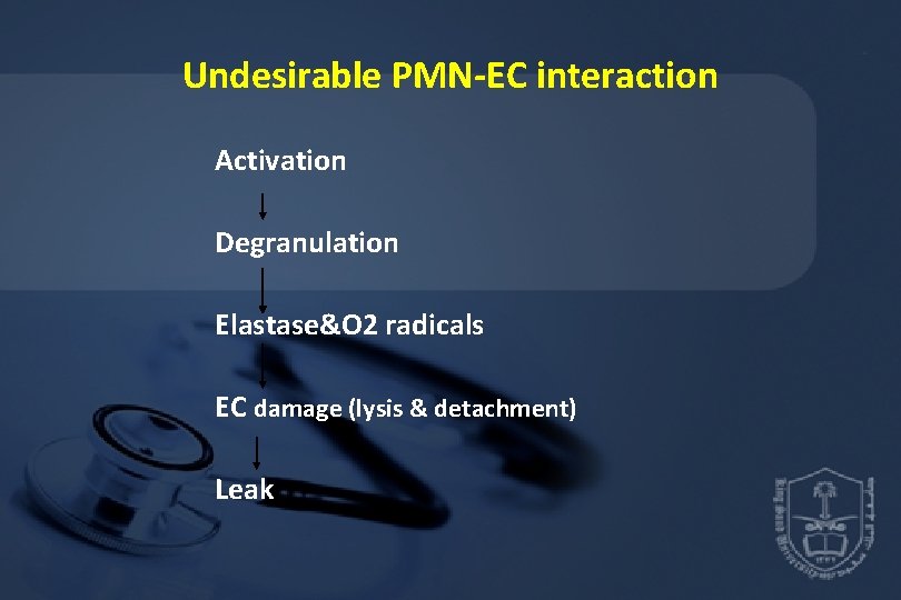 Undesirable PMN-EC interaction Activation Degranulation Elastase&O 2 radicals EC damage (lysis & detachment) Leak