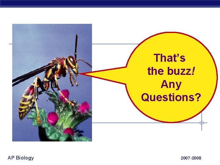 That’s the buzz! Any Questions? AP Biology 2007 -2008 