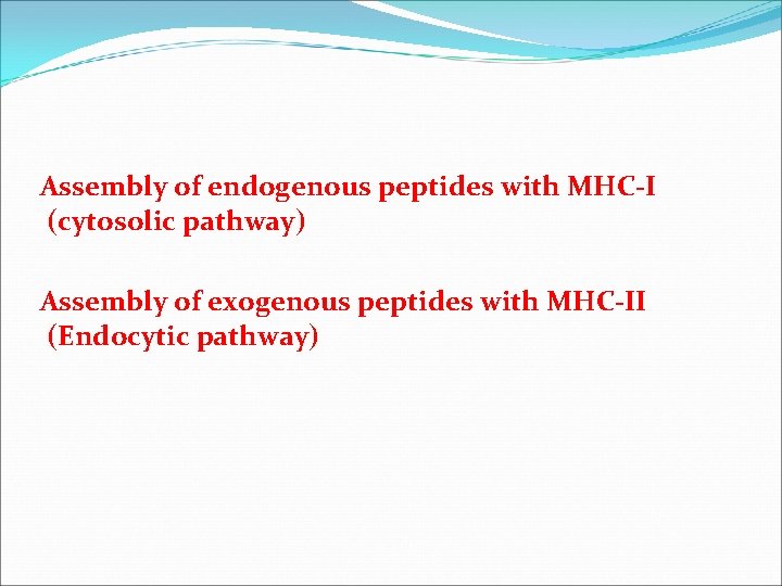  Assembly of endogenous peptides with MHC-I (cytosolic pathway) Assembly of exogenous peptides with