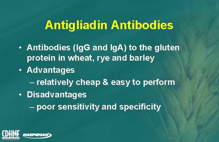 Antigliadin Antibodies • Antibodies (Ig. G and Ig. A) to the gluten protein in