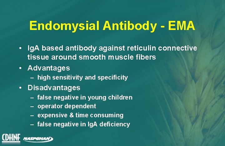 Endomysial Antibody - EMA • Ig. A based antibody against reticulin connective tissue around