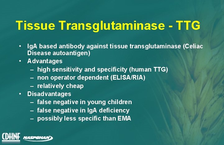 Tissue Transglutaminase - TTG • Ig. A based antibody against tissue transglutaminase (Celiac Disease