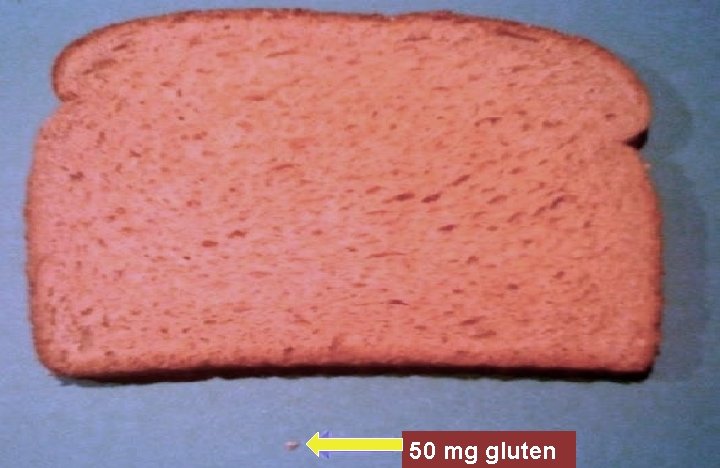 50 mg gluten 