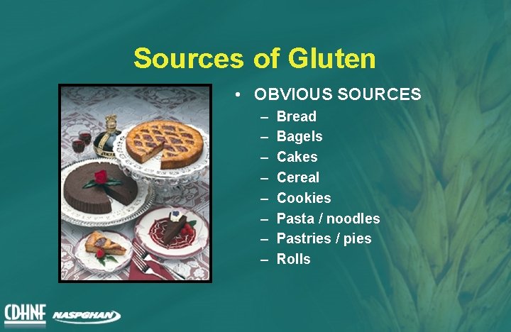 Sources of Gluten • OBVIOUS SOURCES – – – – Bread Bagels Cakes Cereal