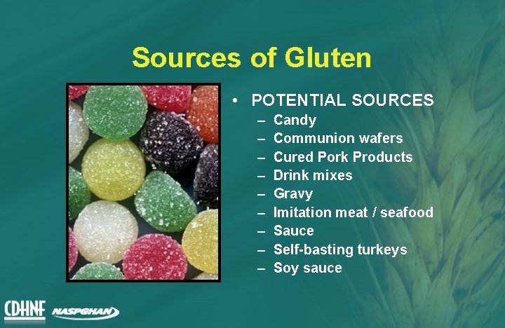 Sources of Gluten • POTENTIAL SOURCES – – – – – Candy Communion wafers