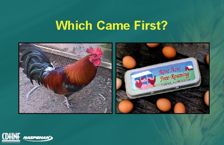 Which Came First? 