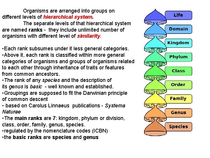 Organisms are arranged into groups on different levels of hierarchical system. The separate levels