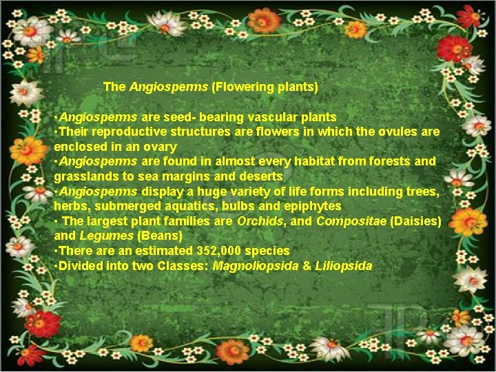 The Angiosperms (Flowering plants) • Angiosperms are seed- bearing vascular plants • Their reproductive