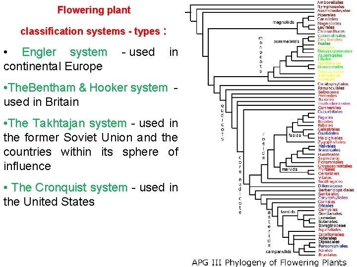  Flowering plant classification systems - types : • Engler system - used in