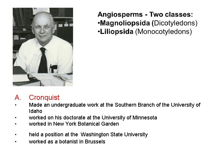 A. Cronquist • Made an undergraduate work at the Southern Branch of the University