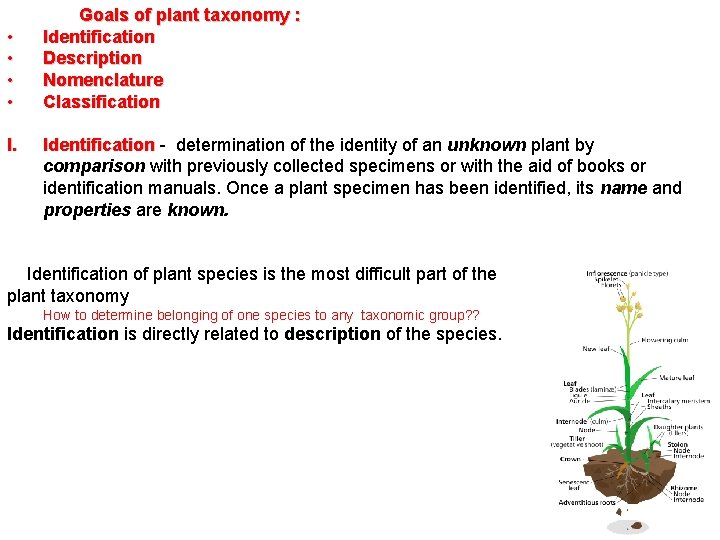  • • I. Goals of plant taxonomy : Identification Description Nomenclature Classification Identification