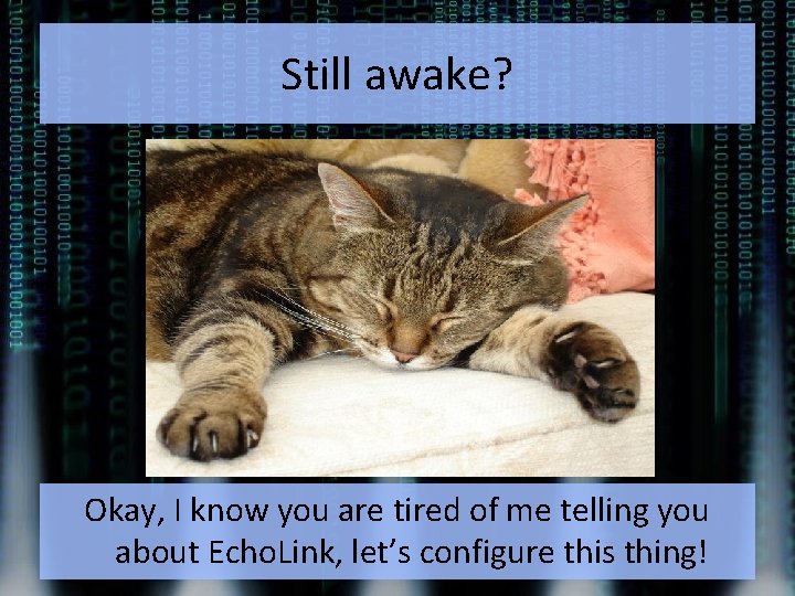 Still awake? Okay, I know you are tired of me telling you about Echo.