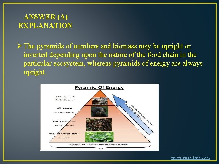 ANSWER (A) EXPLANATION Ø The pyramids of numbers and biomass may be upright or