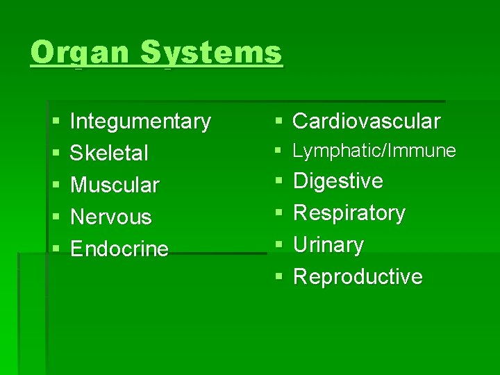Organ Systems § § § Integumentary Skeletal Muscular Nervous Endocrine § Cardiovascular § Lymphatic/Immune