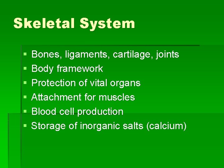 Skeletal System § § § Bones, ligaments, cartilage, joints Body framework Protection of vital