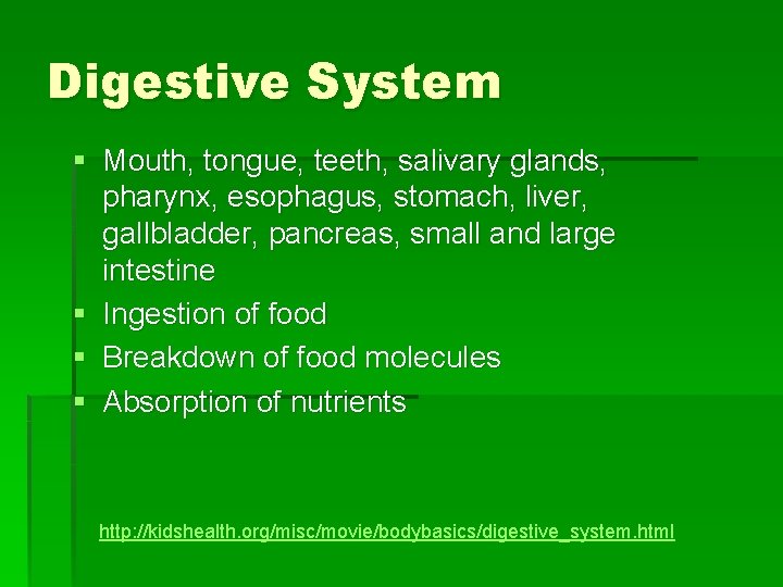 Digestive System § Mouth, tongue, teeth, salivary glands, pharynx, esophagus, stomach, liver, gallbladder, pancreas,