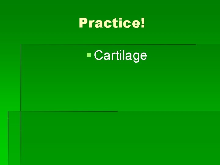 Practice! § Cartilage 