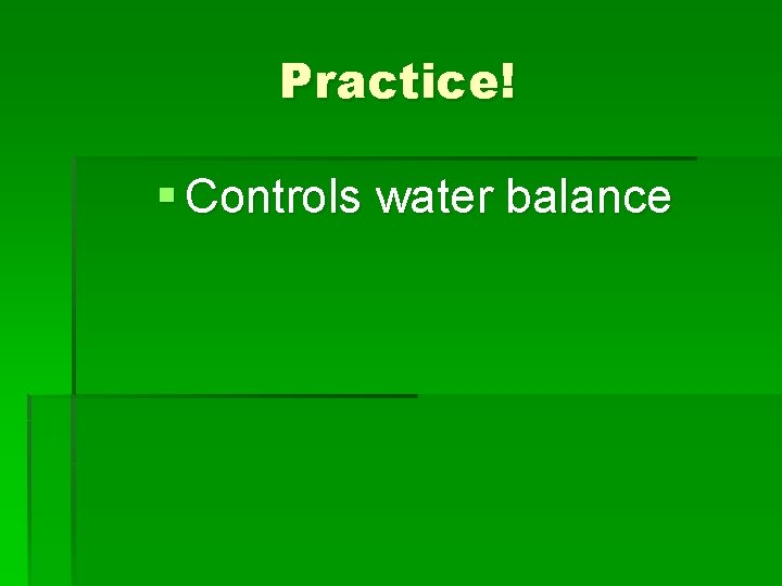 Practice! § Controls water balance 