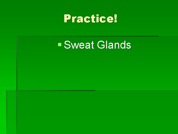 Practice! § Sweat Glands 