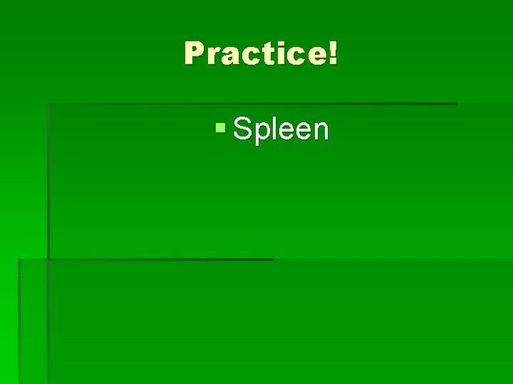 Practice! § Spleen 