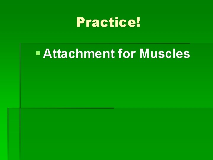 Practice! § Attachment for Muscles 