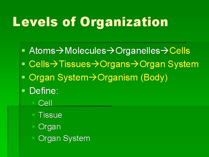 Levels of Organization § § Atoms Molecules Organelles Cells Tissues Organ System Organism (Body)