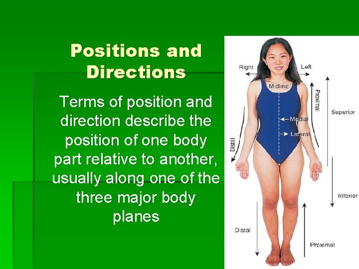 Positions and Directions Terms of position and direction describe the position of one body