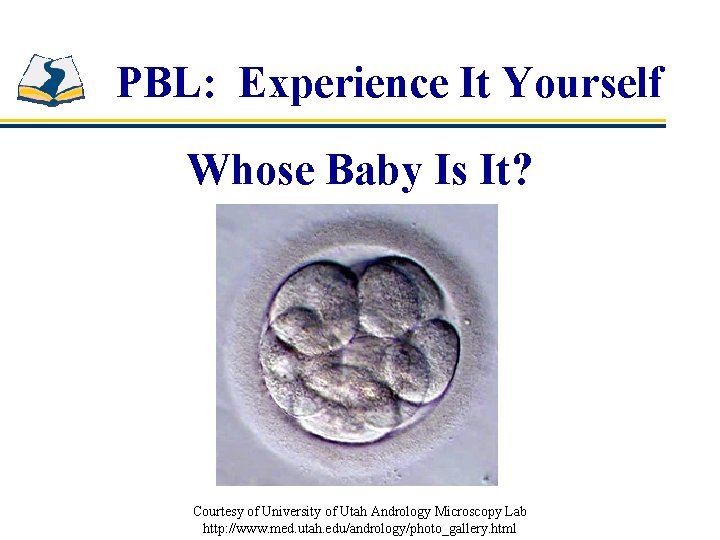 PBL: Experience It Yourself Whose Baby Is It? Courtesy of University of Utah Andrology